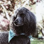 Sebastian - @_bastian_bob - Instagram