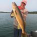 Bob Bateman - Facebook