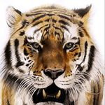 Rob Bateman - @robbatemanart - Instagram