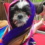Bob Bathrick - @bob_bathrick - Instagram