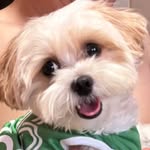BobbaSin - @bobbathepearl - Instagram