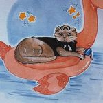 Booba The Cat - @bobba_the_kitty_kat - Instagram
