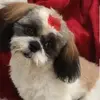 Bob Baumgartner953 - @bobbaumgartner1952 - TikTok