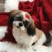 Bob Baumgartner - Facebook