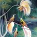 Yos Fery Bunay - Facebook