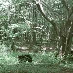 Bob Beam - @tom.helm.9 - Instagram