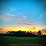 Bob Beard - @bobbeard7 - Instagram