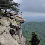 Bob Beard - @bob.beard3 - Instagram