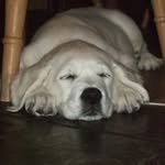 Rob Beaton - @robbeaton65 - Instagram