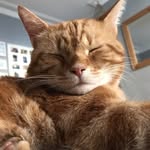 Bob Beattie - @_bobbeattie_ - Instagram