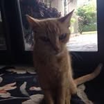 Bob Beattie - @beattie_bob - Instagram