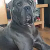 Bob Beattie - @bob.beattie8 - TikTok