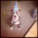 Bob Beattie - @rbeattie142025 - Instagram