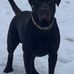 Bob Beauchamp - Facebook
