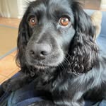 Bob Beauchamp - @bobbyb1357 - Instagram