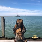 Beaver Bob - @beaverbob12 - Instagram