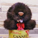 Bob Beaver - @bobbeaver4735 - Instagram
