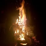 BOB BEAVER - @crazy_acres_campground - Instagram