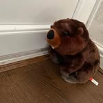 Bob the Beaver - @bob.the33rdbeaver - Instagram
