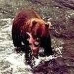 Bob Beemer - @bob.beemer.5 - Instagram