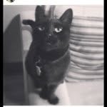 Bob Belanger Yelle - @bob_yelle - Instagram