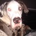 Bobby Belanger - Facebook