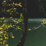 Bob Bennett - @winias__5_keve - Instagram