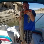 Bob Bentley - @bentleyjrbob - Instagram