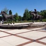Bob Berglund - @bobberglund - Instagram
