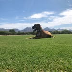 Bob Biggins - @bobchazbigs - Instagram
