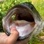 Bobbin 4 Biggins Fishing - @bobbin.4.biggins - Instagram