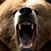 bob biggs - @bob.biggs7 - TikTok
