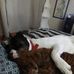 BIlly Bob Cleatus - Facebook