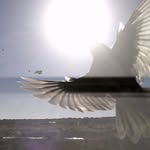 bob billings - @bob_billingsly - Instagram