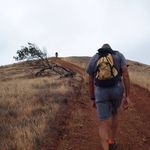 Bob Bishop - @listobob - Instagram