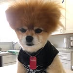 Bob Bishop - @bobbishop10 - Instagram