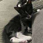 Bob Blackmore - @bob_blackandwhite - Instagram