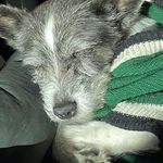 Rob Blackmore - @rob306blackmore - Instagram