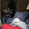 Bob Bledsoe - @bob.bledsoe - TikTok