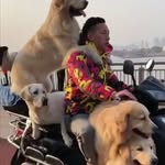 Bob Bobertson - @meme_dad84 - Instagram