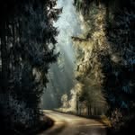 Bob Bobertson - @bob_bob_bobbety_bob - Instagram