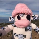 Bob (Bobster, Bobby, Bobs) - @bobsterstravelz - Instagram