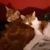 BobBobster68 - @bobbobster68 - TikTok