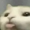 myfearnot - @bohnbobena - TikTok