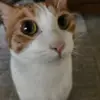bobbonds - @bob.bonds - TikTok