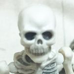 Bob_bone - @bob_bone.0 - Instagram