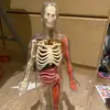 bob.bones - @bob.bones - TikTok