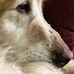 Bobby Brammer - Facebook