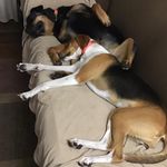 Bobby Brammer - @bobbybrammer - Instagram