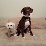Heidi And-Bob Brammer - @brammerheidi - Instagram